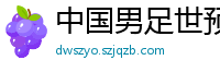 中国男足世预赛赛程